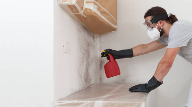 Professional Mold Inspection And Testing technician working in Alanson, MI